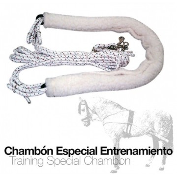 CHAMBÓN ESPECIAL...