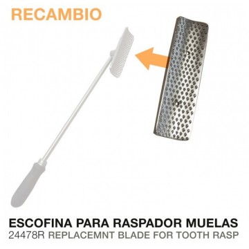 RASPADOR MUELAS ESCOFINA...