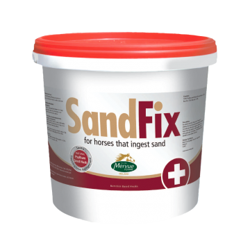 SANDFIX 3KG