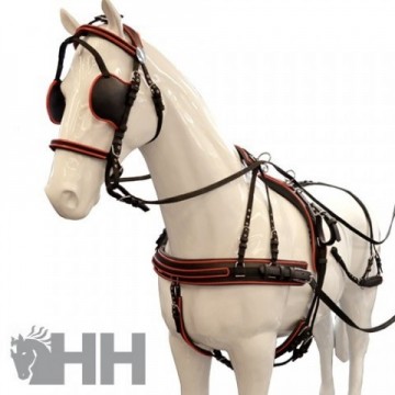 ENGANCHE LEXHIS HANOVER...