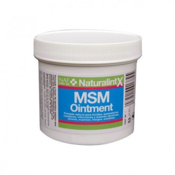 M.S.M. OINTMENT 250GR