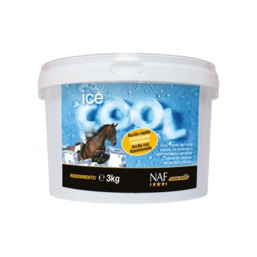 ICE COOL 3KG