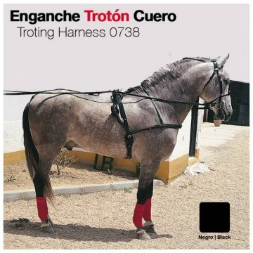 ENGANCHE TROTÓN CUERO NEGRO