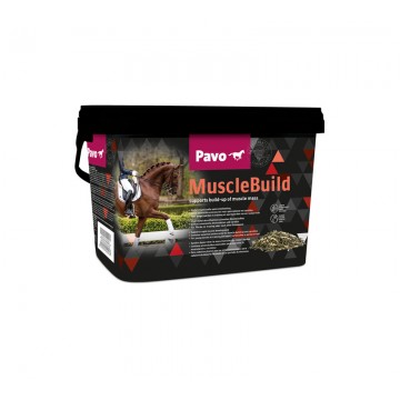 PAVO MUSCLEBUILD 3KG